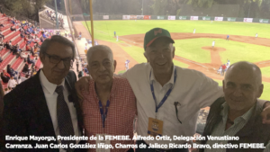 béisbol Invernal