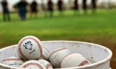 La Liga Mexicana de Béisbol y su Estructura de Zonas