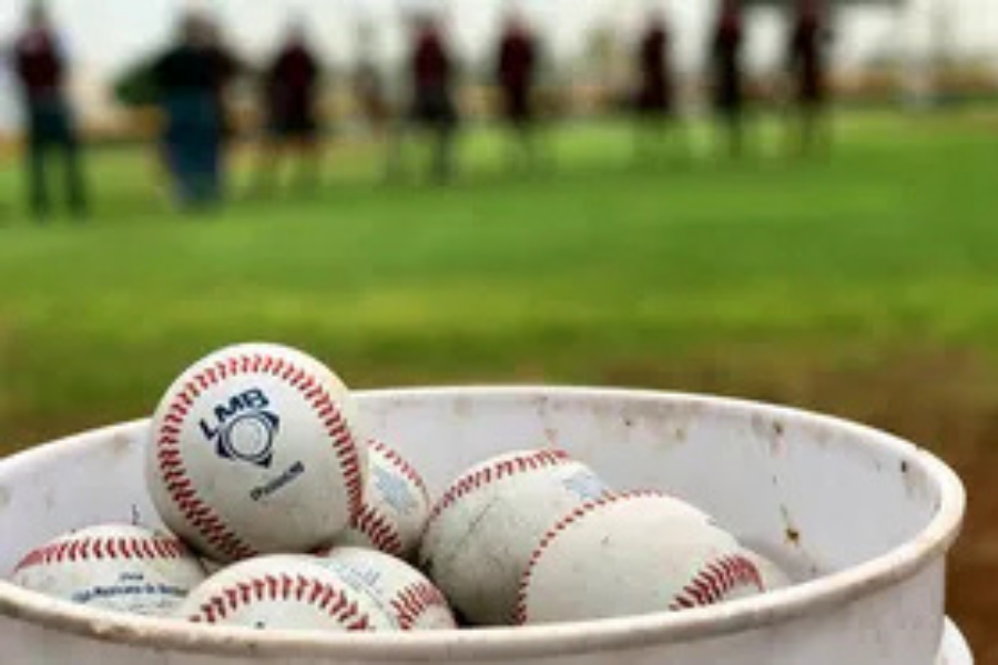 La Liga Mexicana de Béisbol y su Estructura de Zonas