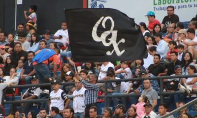 Crónicas Beisboleras: Las porras de la Liga Mexicana