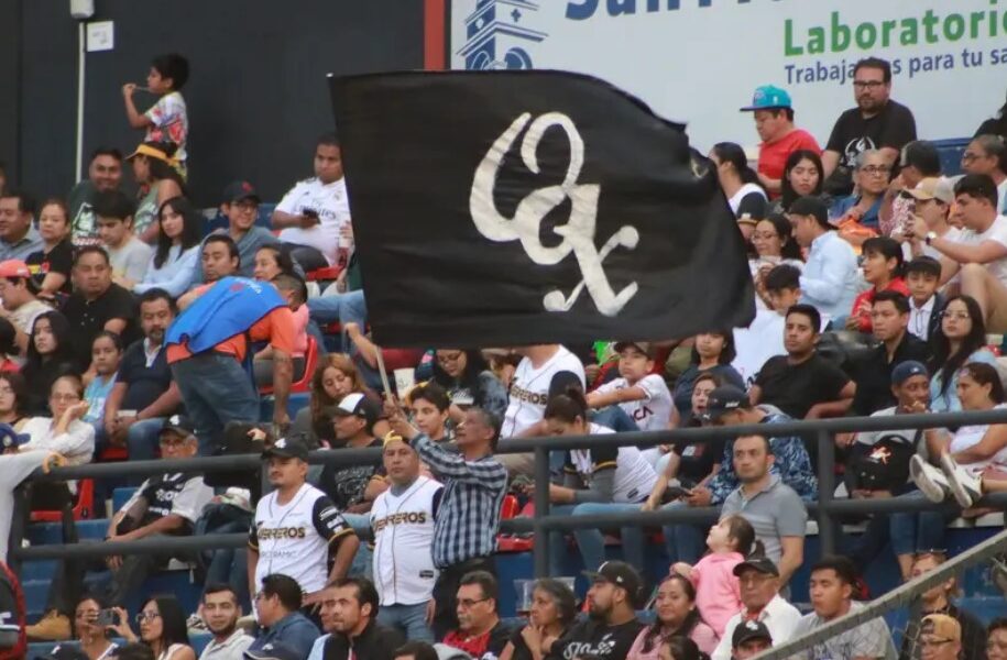 Crónicas Beisboleras: Las porras de la Liga Mexicana