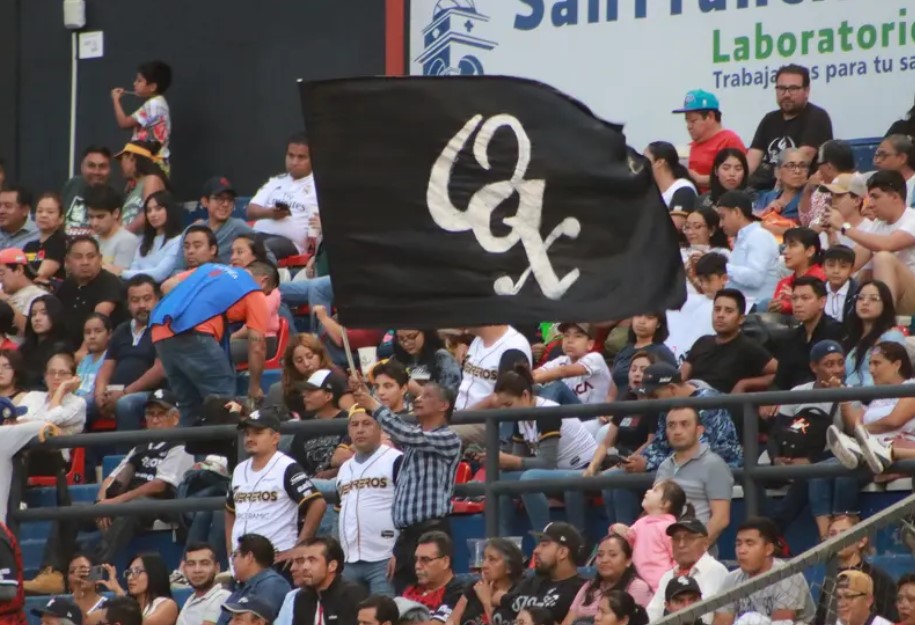 Crónicas Beisboleras: Las porras de la Liga Mexicana